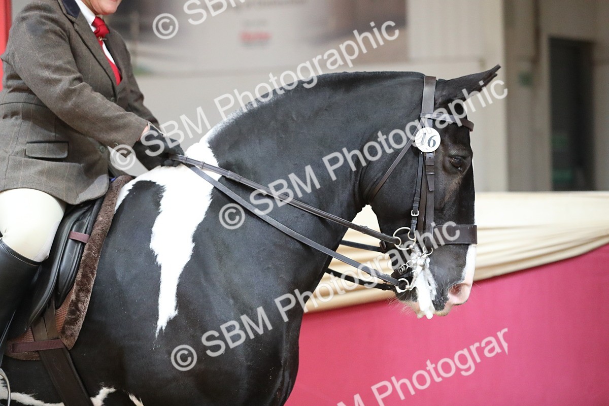 SBM_02835 - Class 6a Area Ridden Pre Vet