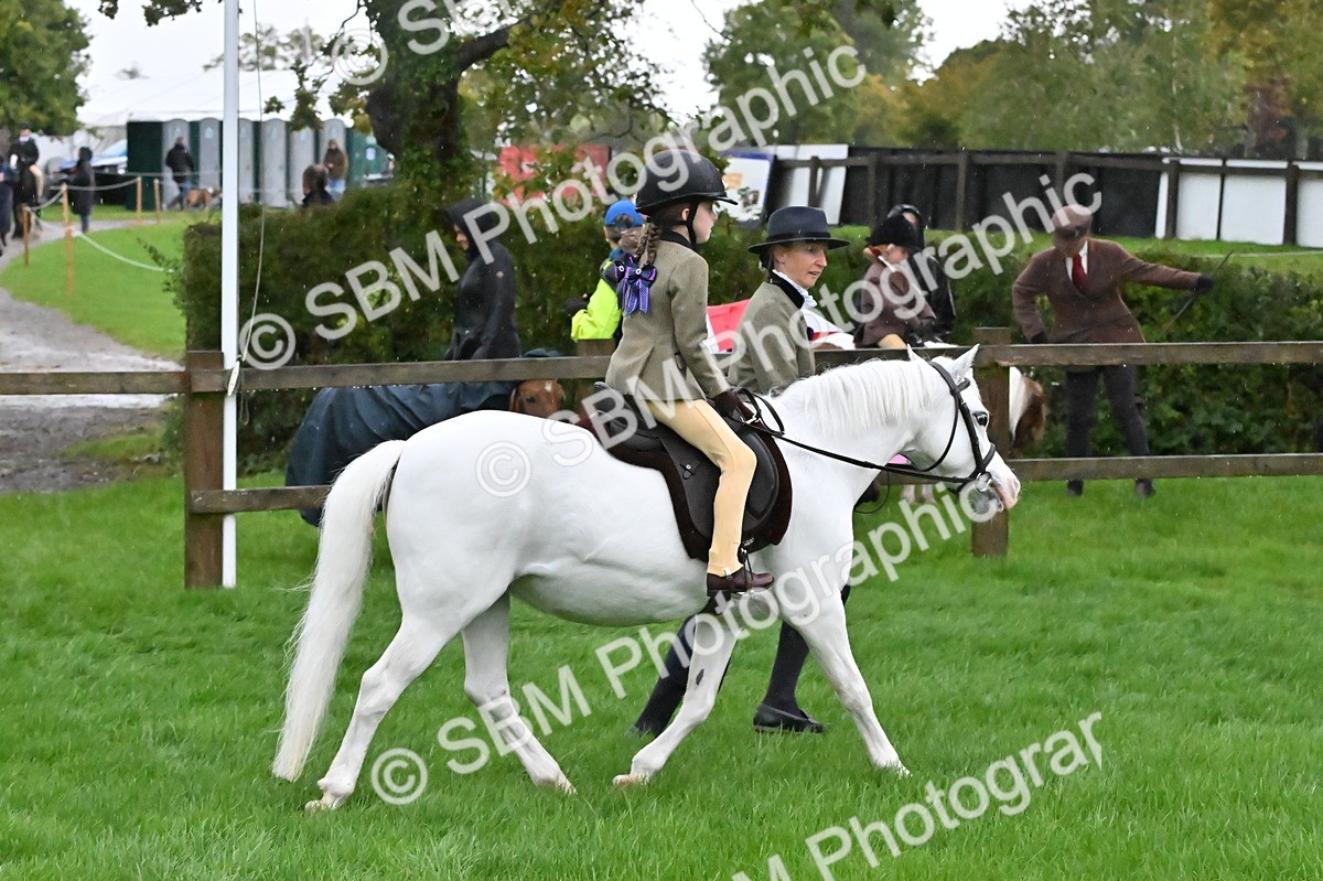 EB7_4950 - S17  Top Turnout  Lead Rein