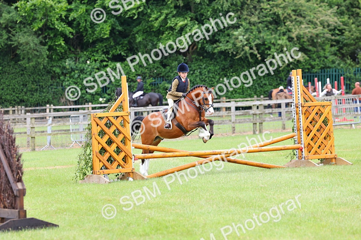 SBM_09471 - Class 44-45 - LIHS BSPS Open Nursery and Cradle Stakes