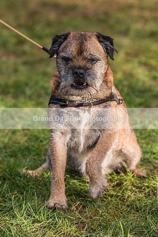 Jarrett-328 - Jarretts Jaunt Handicap Fell Race Saturday 3rd February 2024