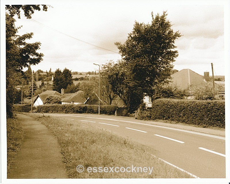  - Essex
