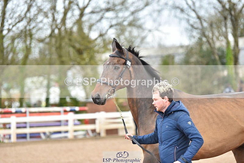 240417A-145512-00669 - 2pm to 3pm