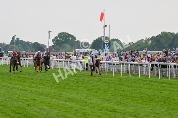 170524-Race 4-Giavellotto-8064 - Race 4 3.45pm Boodles Yorkshire Cup Stakes