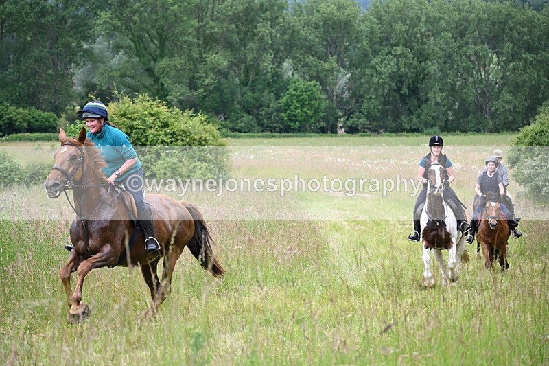 WJ6_8194 - Camera 1 Gallops