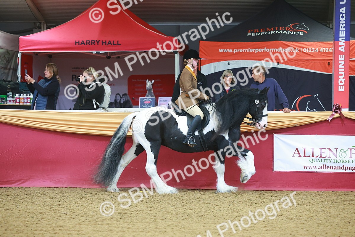SBM_09626 - Class 102 - HOYS Veteran Qualifier - Ridden Veteran