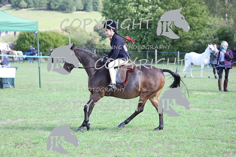 APP_3119 - Class 11 Veterans ridden