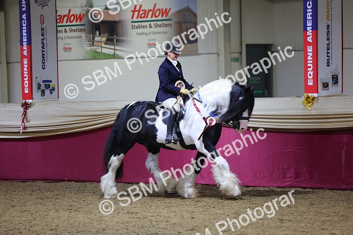SBM_19249 - Class J Coloured Champ