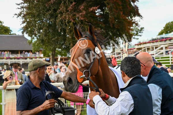 220824-Race 6-Angel Hunter-7530 - Race 6 4.45pm sensory-junction.co.uk Autism Awareness EBF Stallions Nursery Handicap