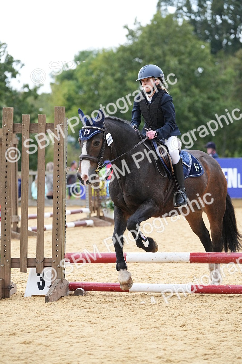 SBM_74657 - J4 - Mini Tour Junior Pony 45cm Championship