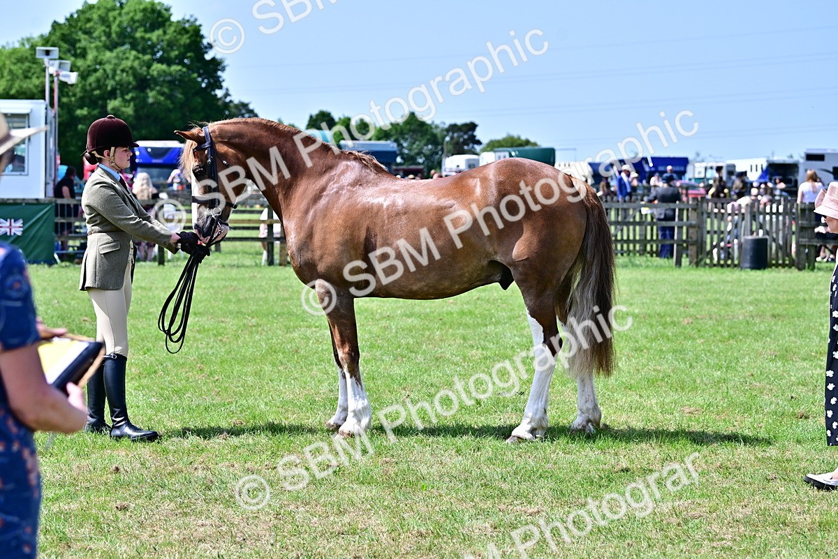 SBM_03910