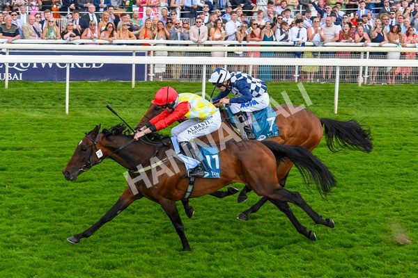 290723-Race 5-Baez-0841 - Race 5 4.35pm Sky Bet Prize Drop Handicap