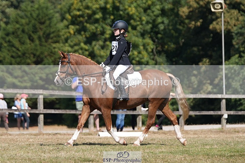 250823A-111616-28208 - Arena A