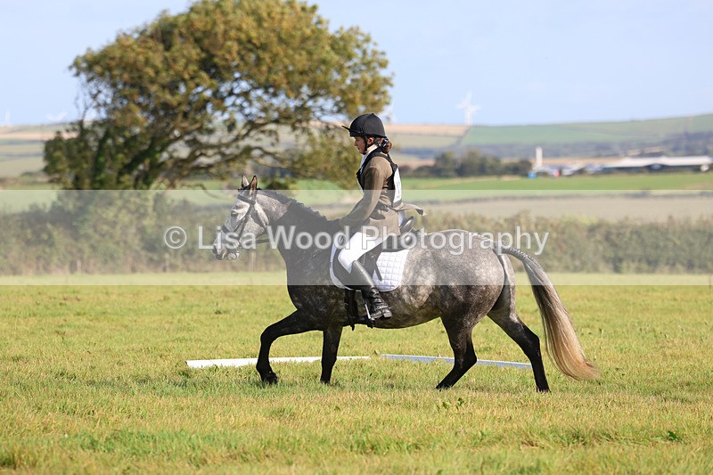 3E7A5764 - Class 1: Trebudannon Open: Dressage (Part 2)