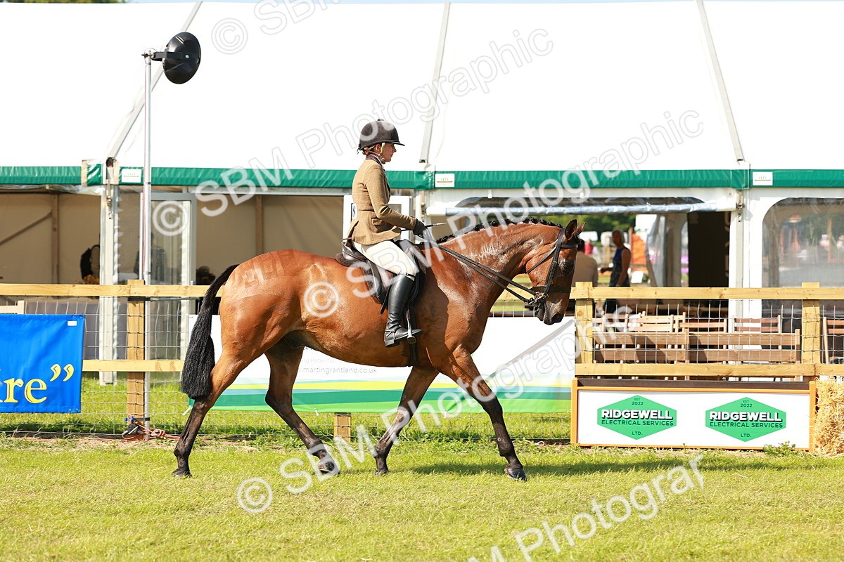 SBM_12016 - Class 66-69 - RIHS Ridden Hunters Inc Small Hunter