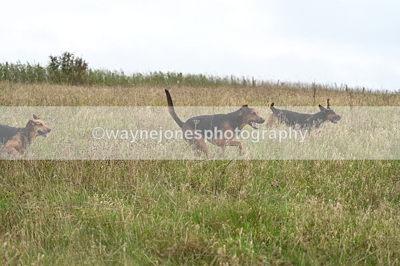 WJ7_9834 - Camera 1 & Last fence