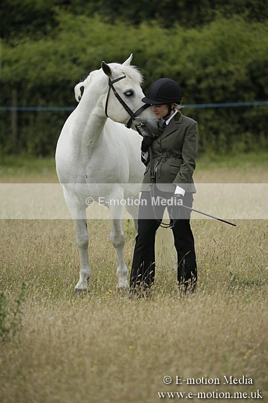 B230619-0388 - Bourne Valley Riding Club Summer Show 23/06/19