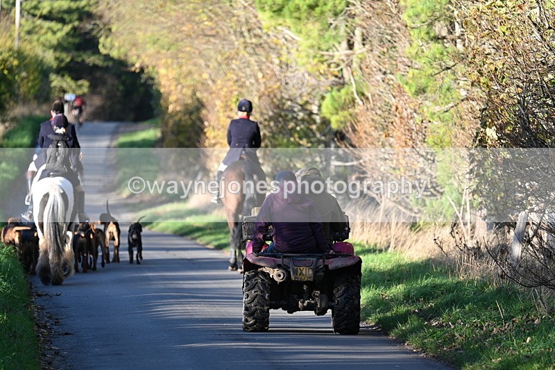 WJ7_8658 - Walk Home