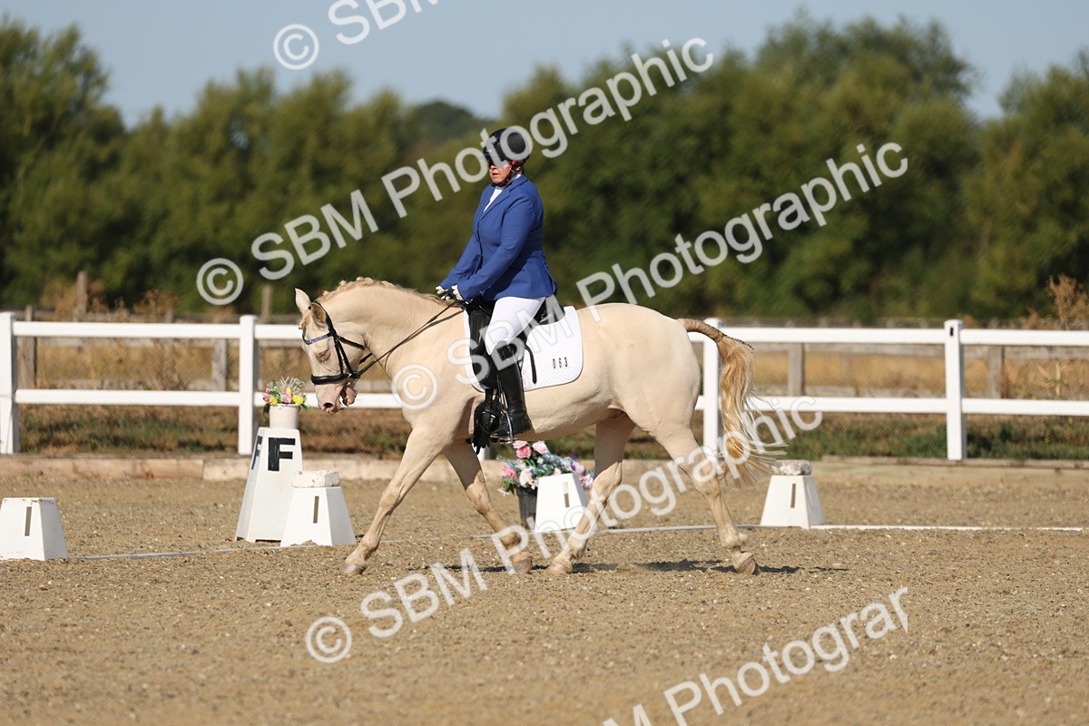 SBM_012695 - Class 1 - P5 Bronze 9.00.10.12