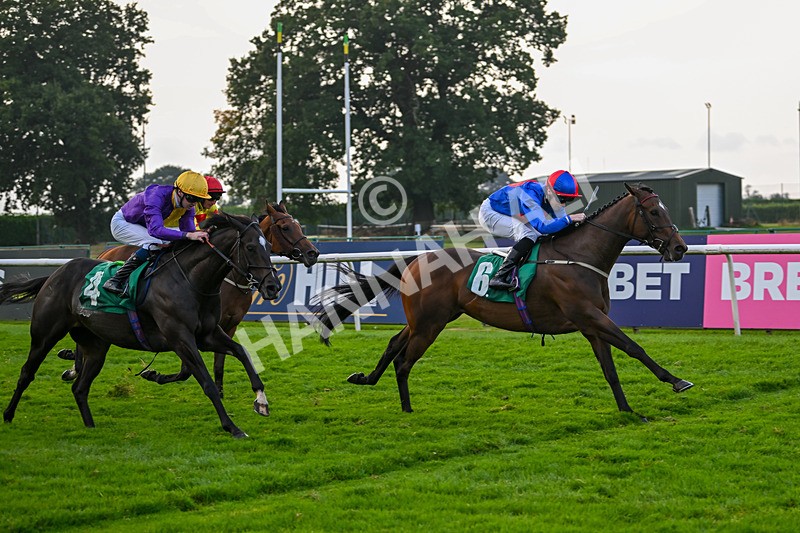 070924-Race 8-Desert Falcon-8094 - Race 8