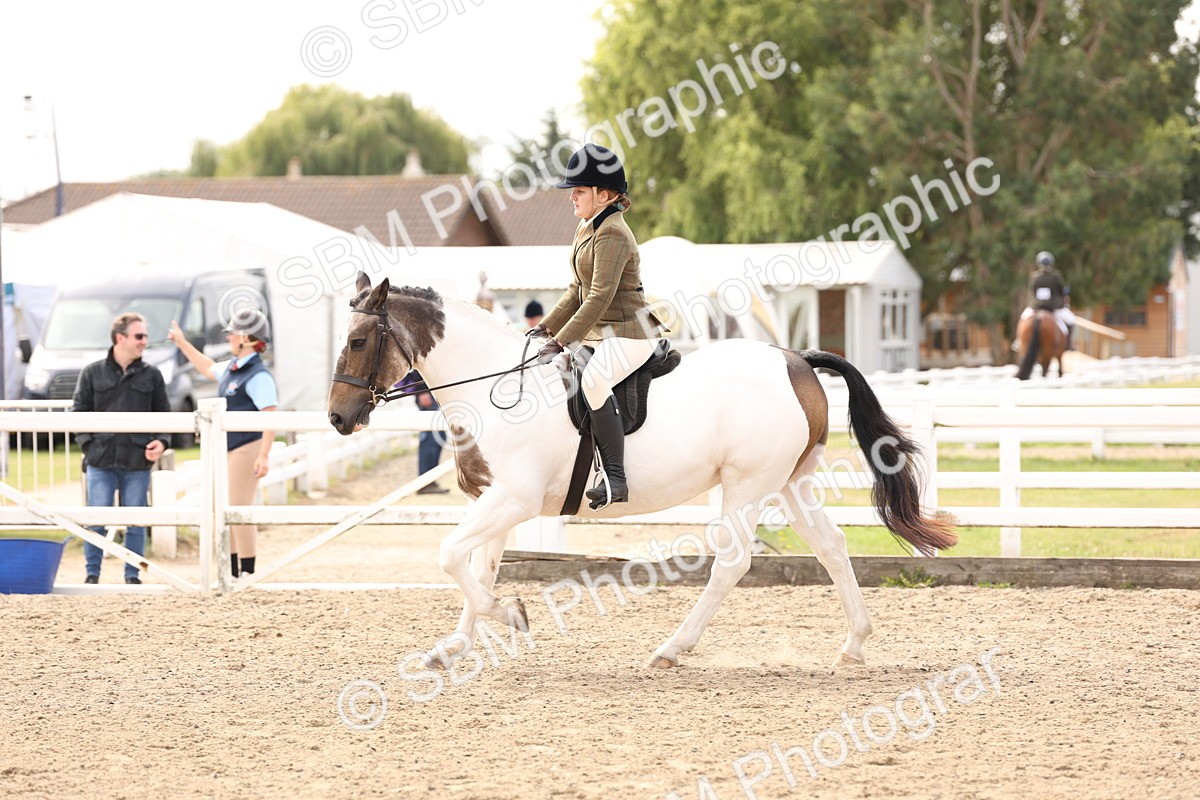 SBM_04294 - Class 54 - Riding Club Horse/Pony