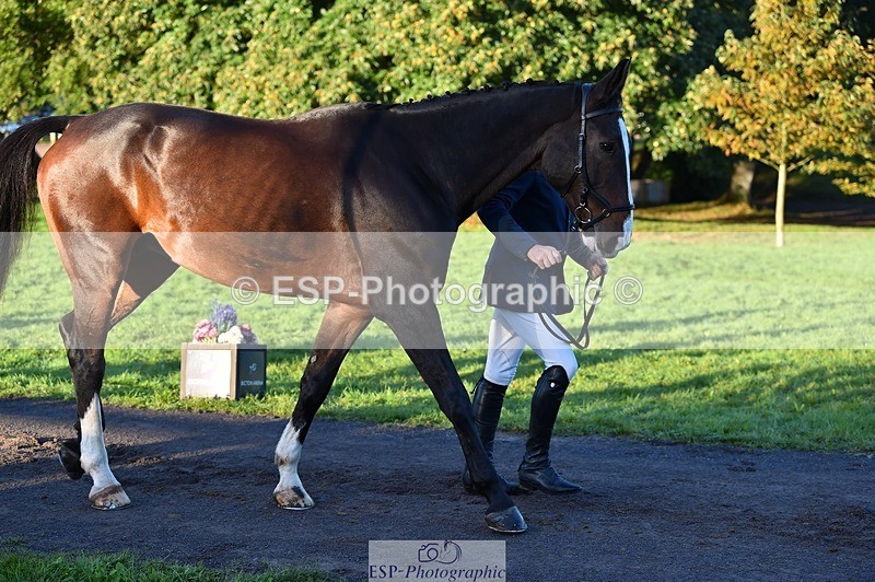 231022-085012-21389 - 644-HANDS.FREE-Alec.Miles-TrotUp+SJ