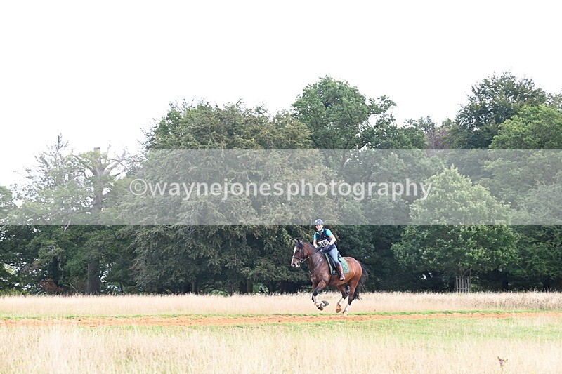 DSC_8218 - Time at Statue 13:52 to 14:33