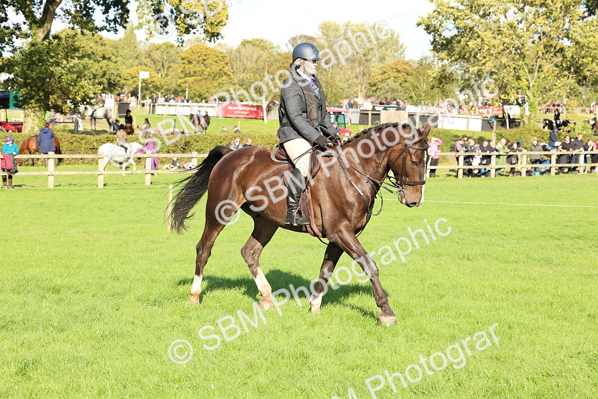 SBM_50149 - S34 - Novice & Newcomers Working Hunter