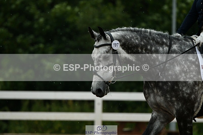 230708A-122807-01361 - Novice 23