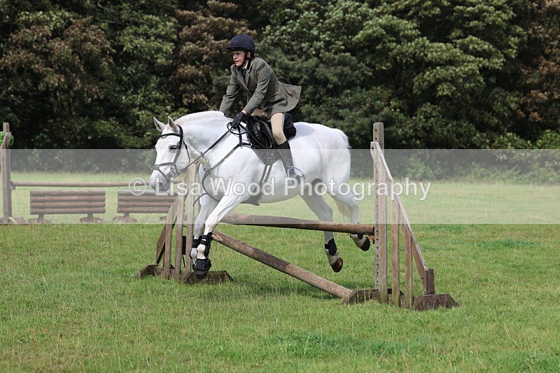 3E7A5976 - Class 28: 75cm Working Hunter