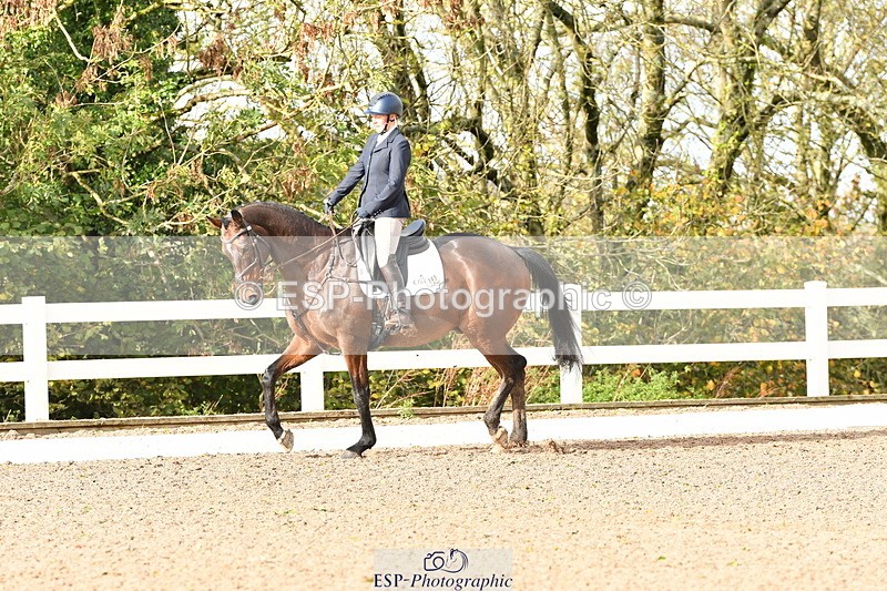 231104A-115301-00304 - Cls 7 Elementary 43