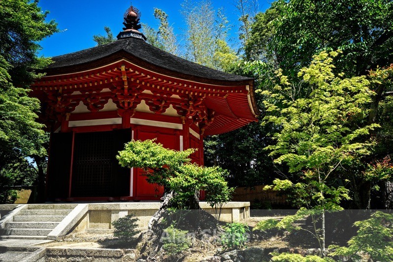 DSC05347 - Kyoto