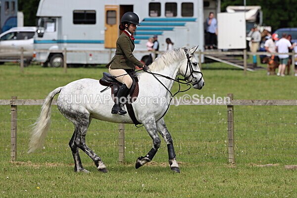 IMG_3091 - Working Hunter