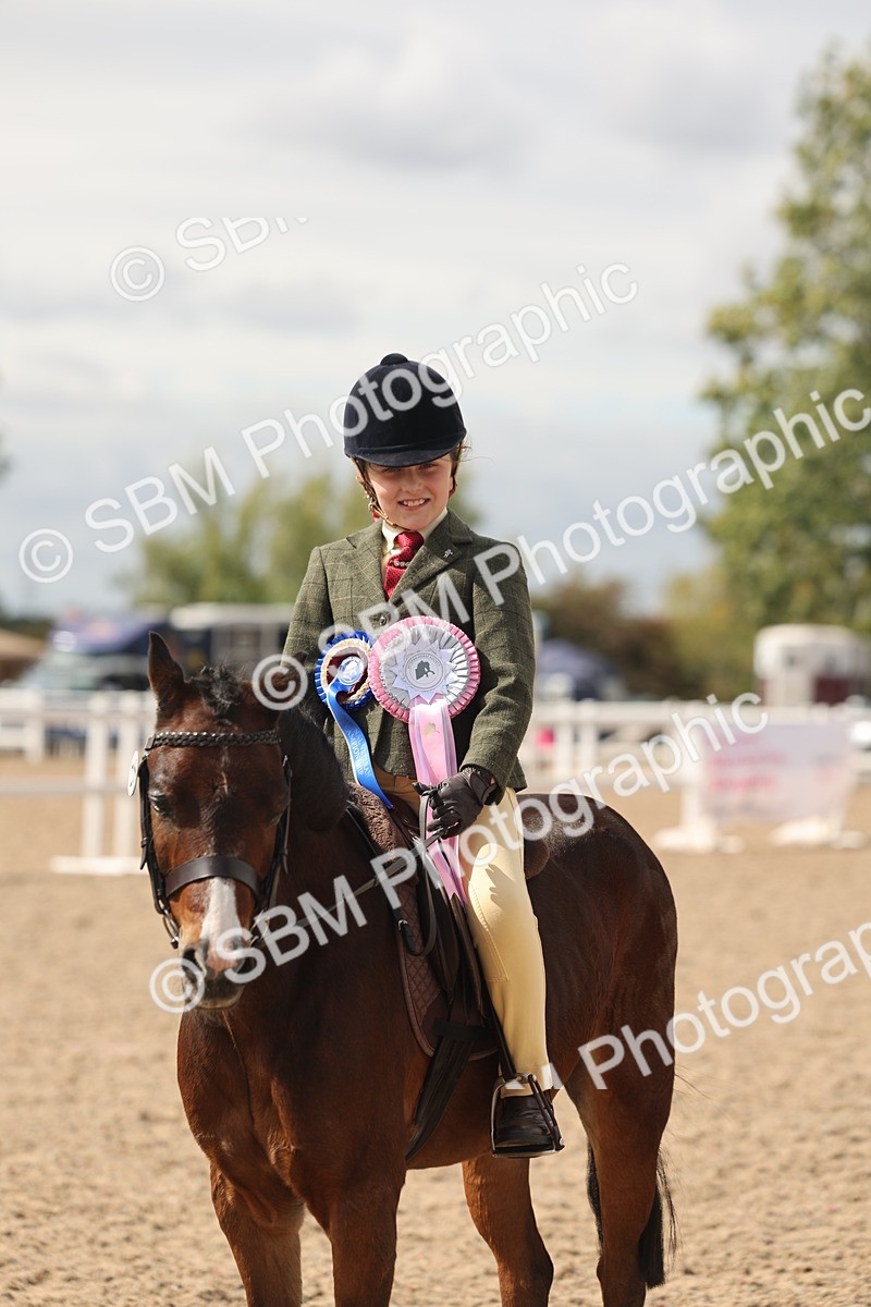 SBM_15927 - Class 310 - First Ridden Pony