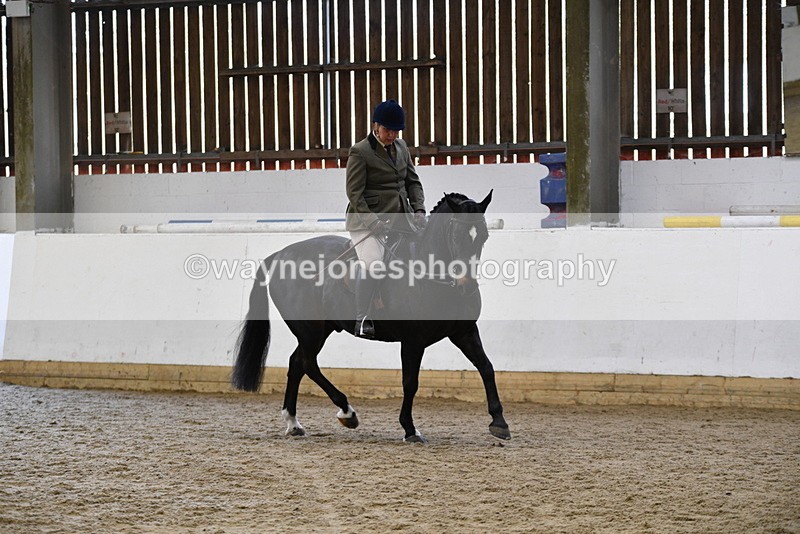 WJ5_6086 - Class 9 Ridden Veteran