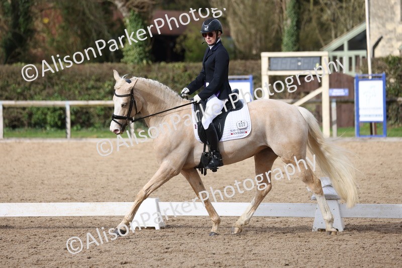 20260301-0635 - Class 4 - Novice 5