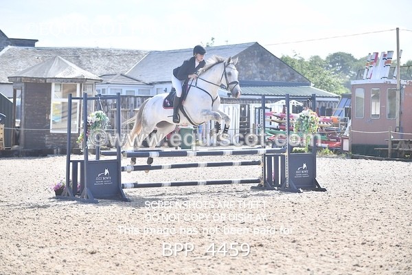 BPP_4459 - CLASS 2  Club/ Unaffiliated 80cms Open