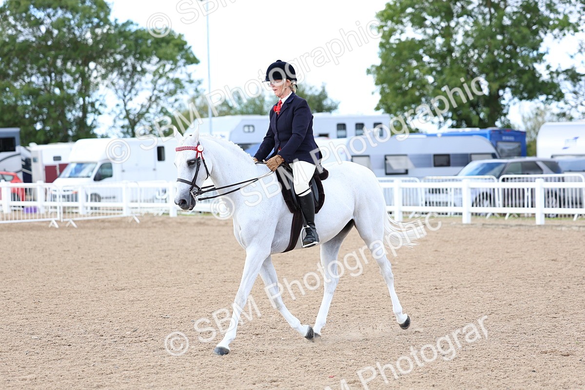 SBM_10132 - Class 304 - Ridden Part Bred Horse Pony