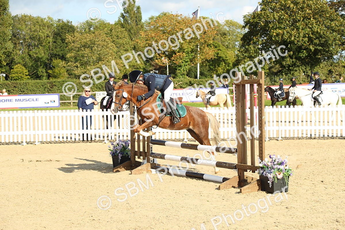 SBM_49577 - J7 - Junior Pony 60cm Championship