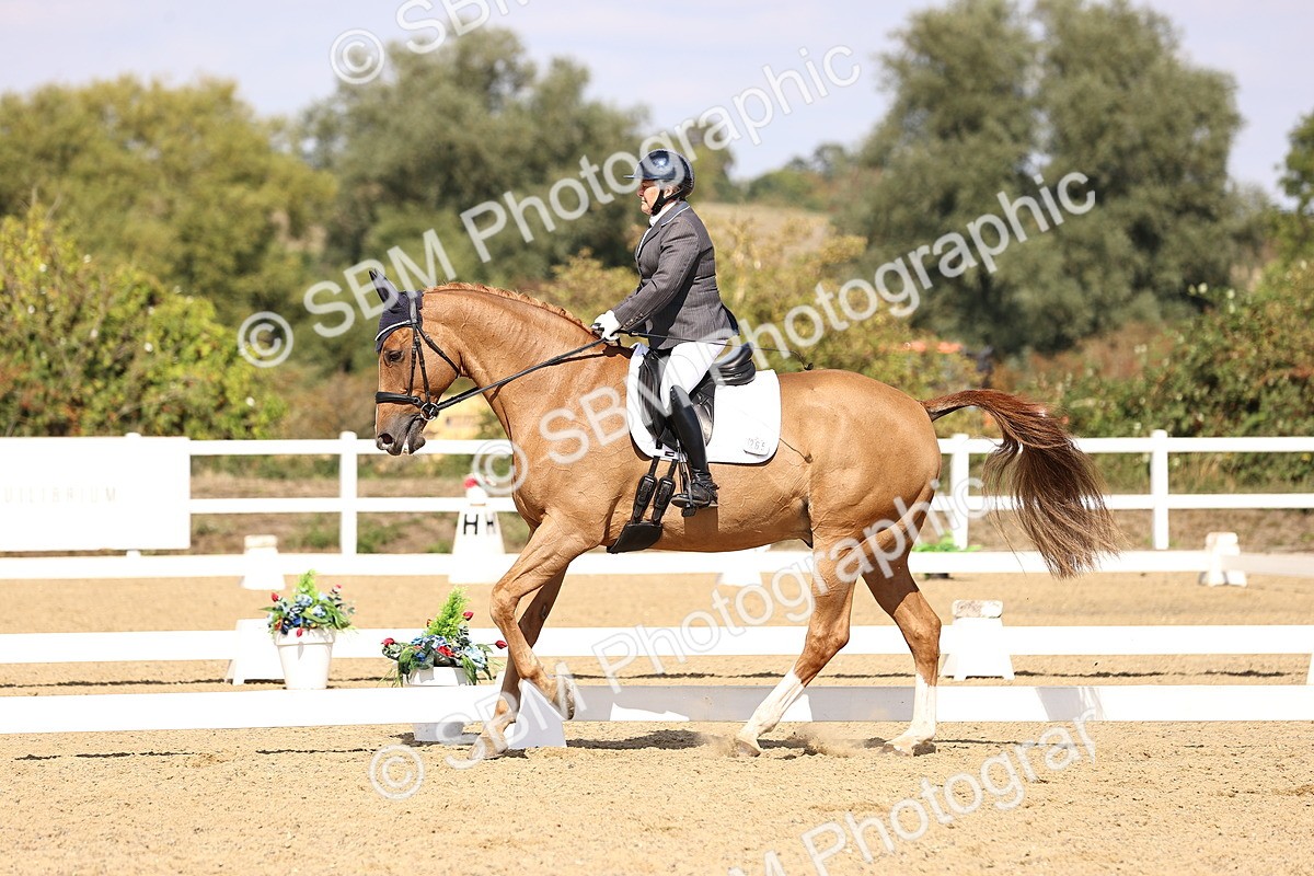 SBM_015090 - Class 6 - Elementary 5