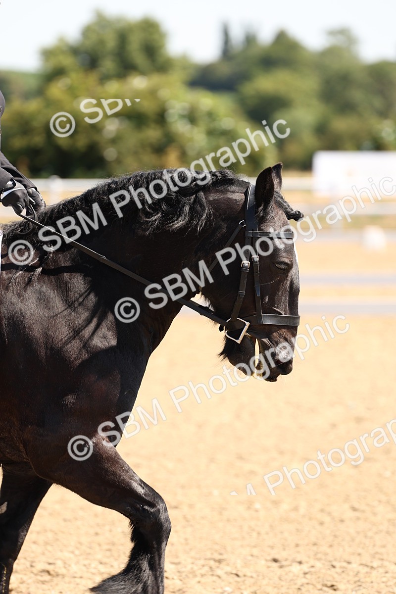 SBM_001050 - Intro 2