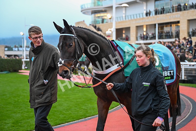151125-Race 7-Eremenko-4202 - Race 7