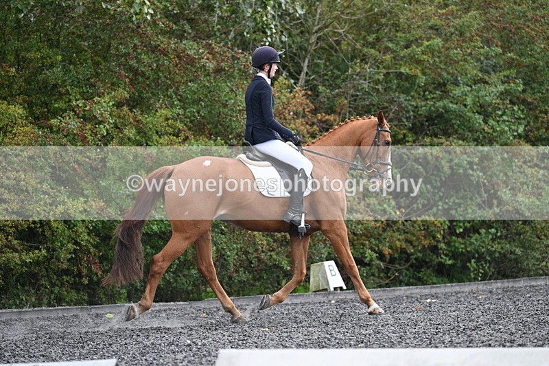 WJ7_6759 - Time 14:49 to 15:14