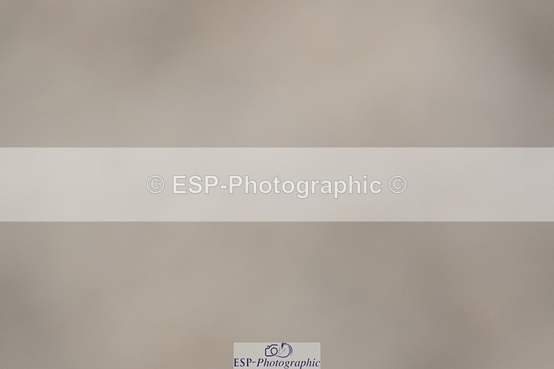 240323A-152231-02465 - UnA Novice 28