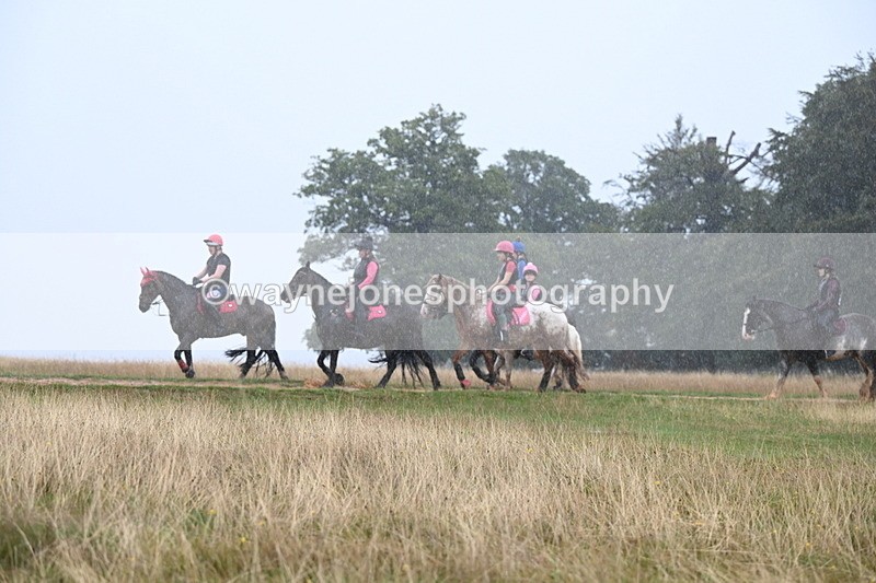 DSC_3216 - Time at Statue 12:59 to 13:49