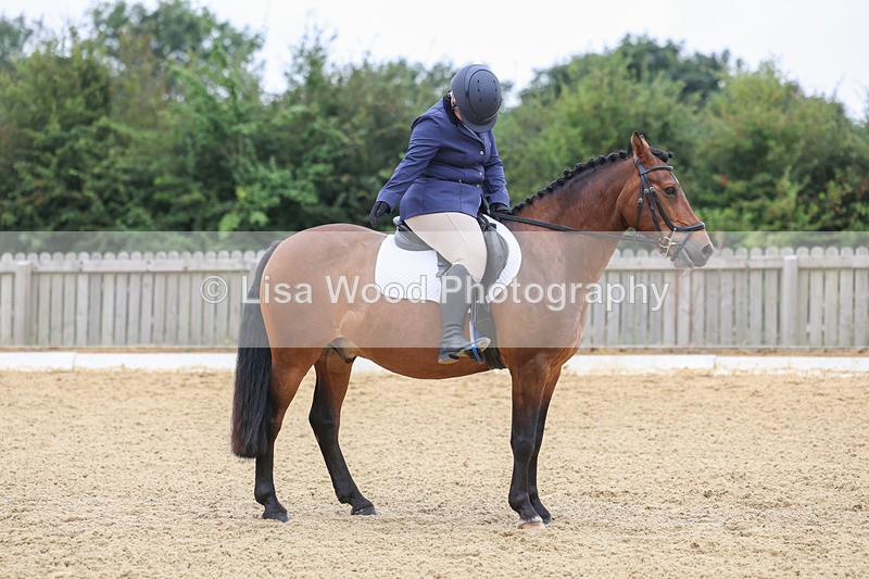 3E7A5171 - Class 2: Intro 4 2024 section B