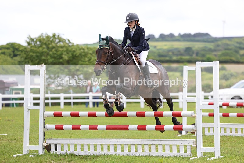 3E7A7203 - Class 13: Senior British Novice/90cm open