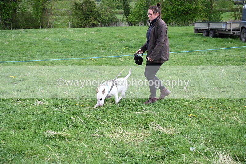 WJ6_8092 - Class 2 Best Pedigree