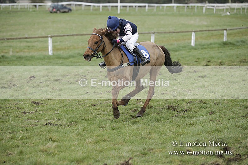 PtP 150320 0782 - New Forest Point-to-Point Larkhill 15/03/20