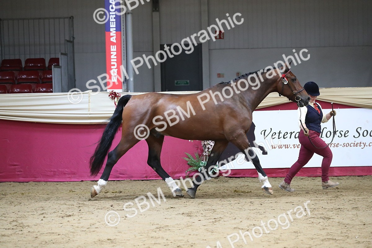 SBM_06300 - Class 9R Regional- IH Pre Vet