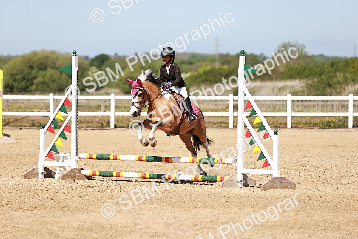 SBM_006999 - Class 2 - 50cm